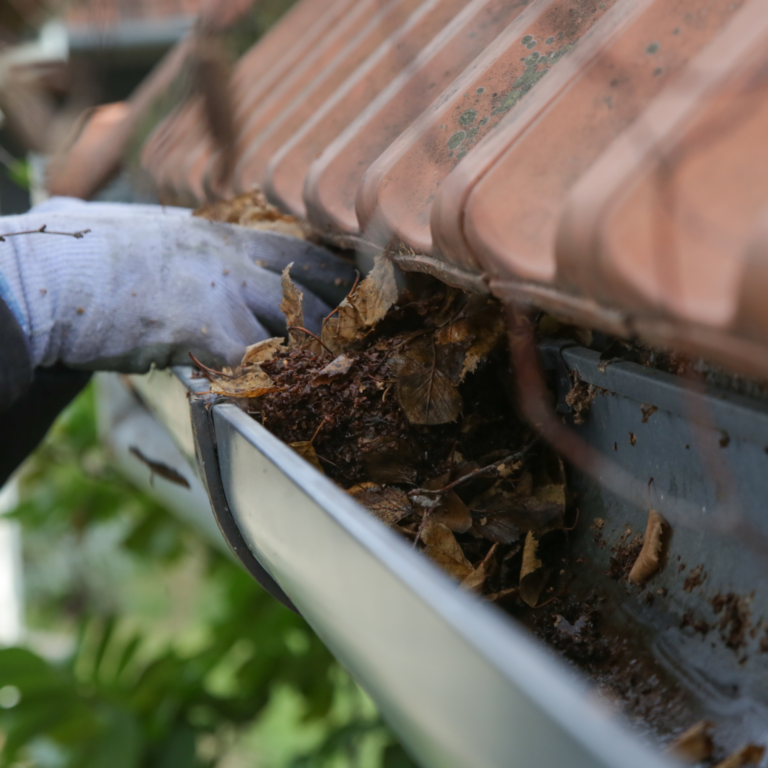 Préparer ses gouttières avant les orages d’automne