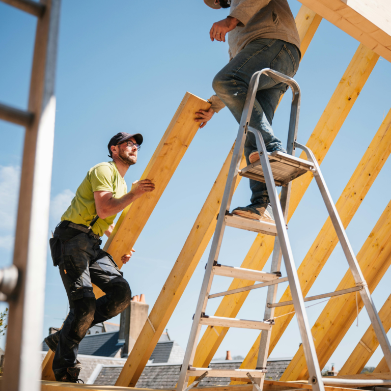 Capricornes et termites : surveiller sa charpente